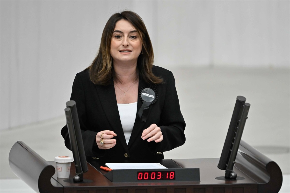 TBMM Genel Kurulu, Meclis Başkanvekili Sırrı Süreyya Önder başkanlığında toplandı.