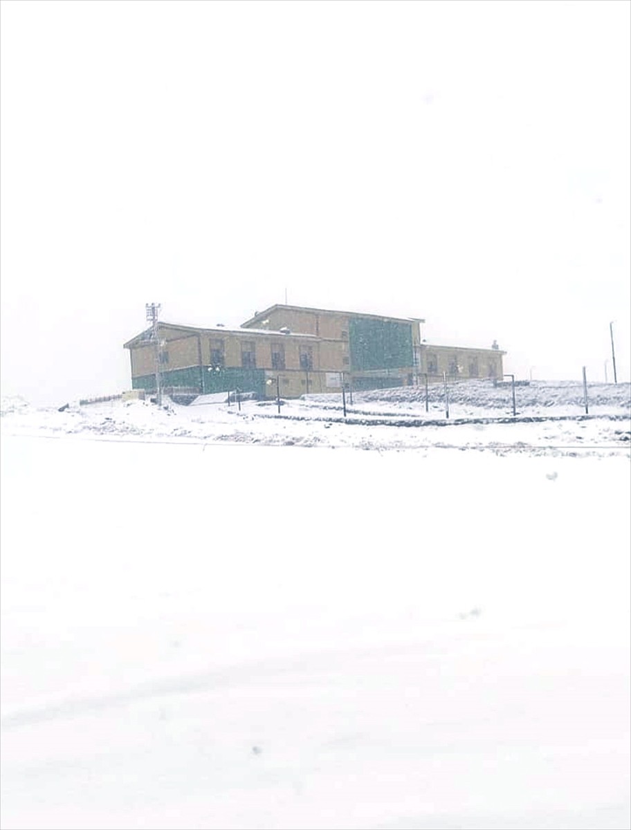 Şanlıurfa'nın Siverek ilçesine 45 kilometre uzaklıktaki 1919 rakımlı Karacadağ'a mevsimin ilk...