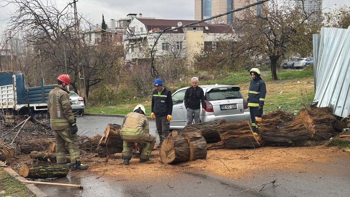 Avcılar'da yola devrilen ağaç, itfaiye ekiplerince kesilerek kaldırıldı.