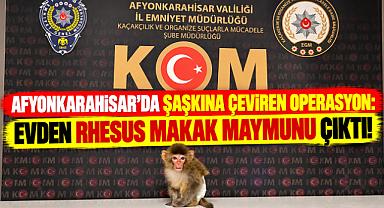 AFYONKARAHİSAR’DA ŞAŞKINA ÇEVİREN OPERASYON: EVDEN RHESUS MAKAK MAYMUNU ÇIKTI!