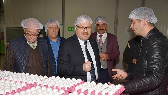 Vali Mustafa Tutulmaz Yumurta üretim Tesisini İnceledi