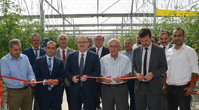 Tarım Ve Orman Bakanlığı Destekli Sera’yı Vali Mustafa Tutulmaz Açtı