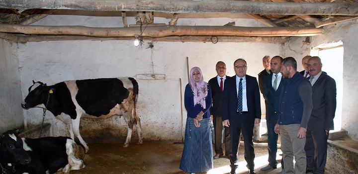 Vali Tutulmaz, çay İlçesi Kasaba Ve Köylerde İncelemelerde Bulundu