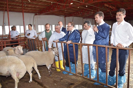 Vali Tutulmaz, Hayvan çiftliği’nde İncelemelerde Bulundu