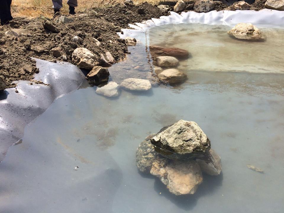 Dinar Orman İşletme Müdürlüğünden Yaban Hayatına Can Suyu Havuzları