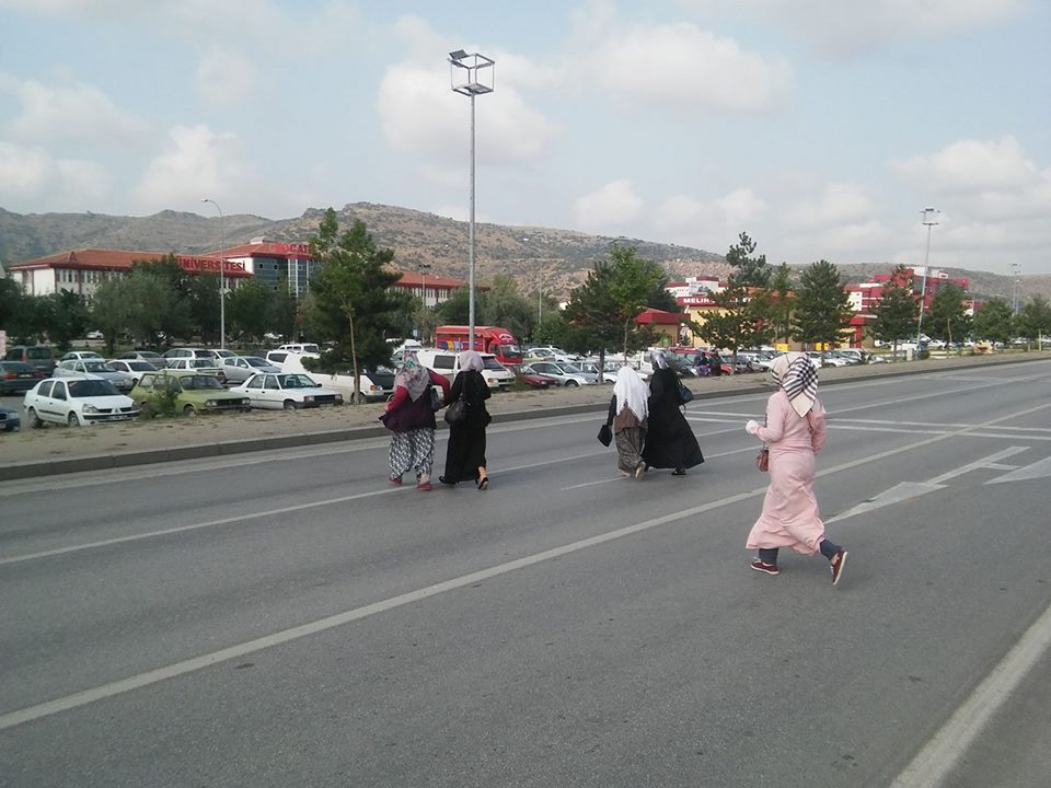 Hastane önünde İncir Ağacı !!