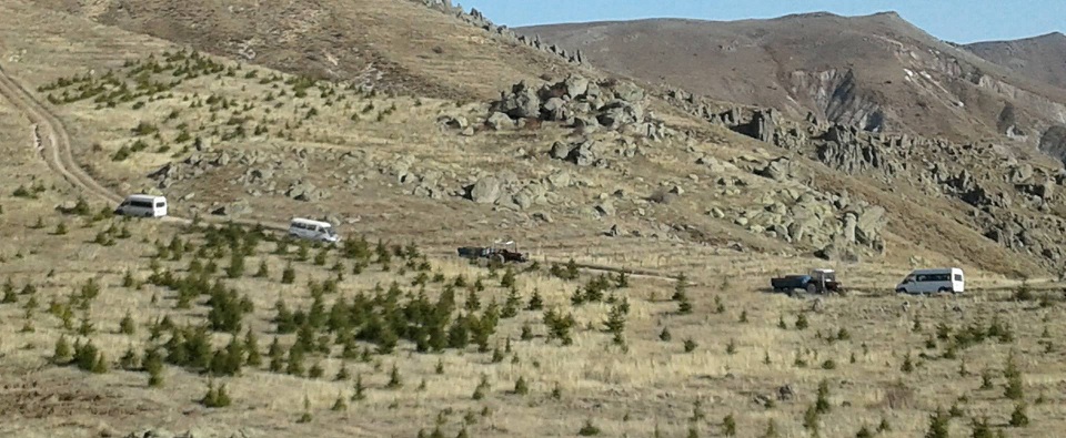 Dinar çöl Ovası Yeşilleniyor