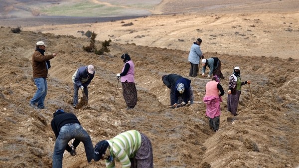 Dinar Ve çehresi Daha Bir Yeşil Oldu