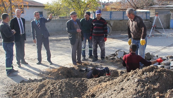 Bozkurt çalışmaları İnceledi