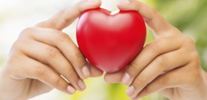 Kalp Sağlığı İnsan Sağlığının Temelidir