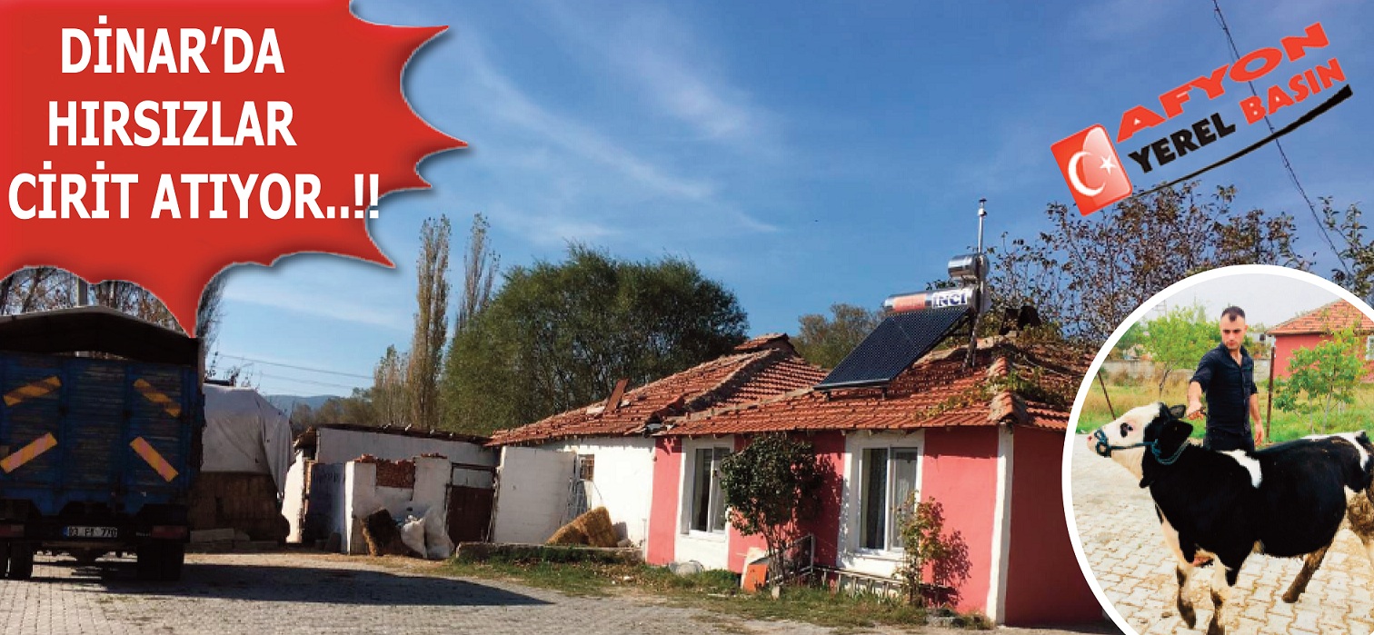 Dinar'da Hırsızlar Cirit Atıyor..!!
