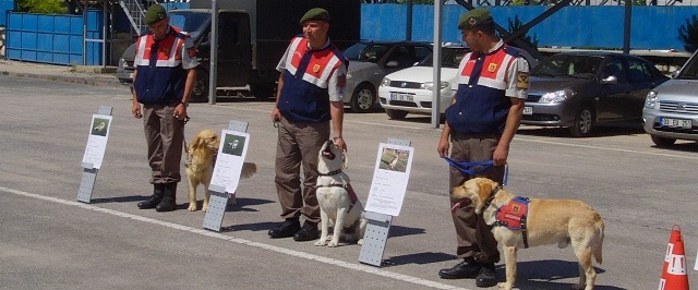 Afyon Jandarması İnsana Huzur Ve Güven Veriyor