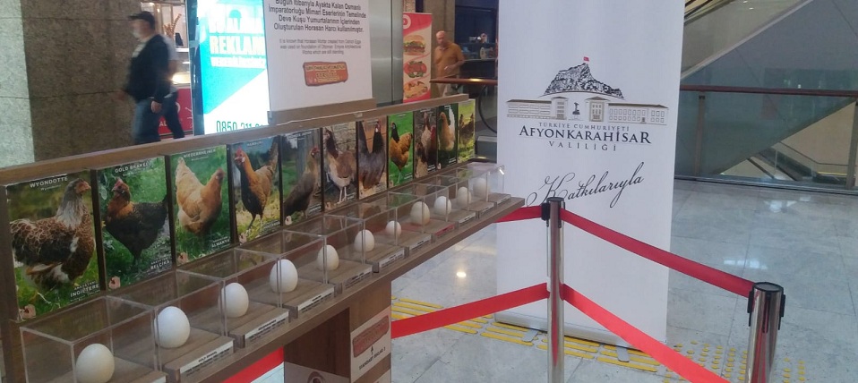 Afyon Yumurta Sektörünün Liderliği Ankara'da Tanıtılıyor.