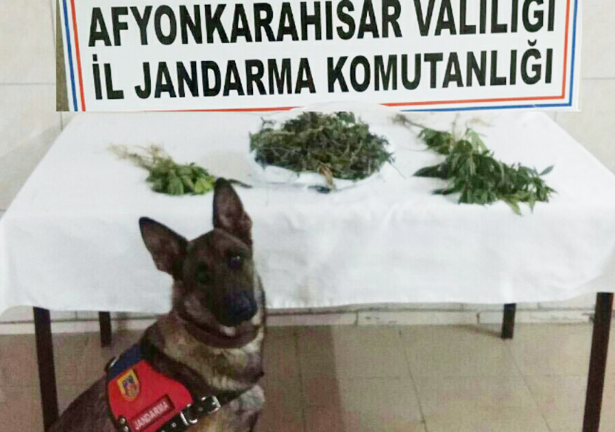 Jandarma Ekiplerinden Bolvadin Dişli'de Uyuşturucu Operasyonu
