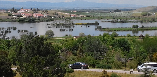 Kaçak Avcılar Suçüstü Yakalandı