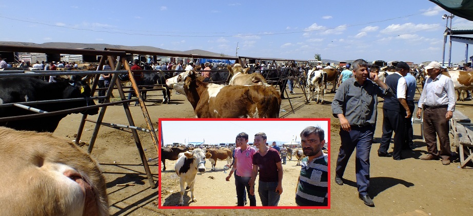 Kurbanlık Hayvan Satışları Yüz Güldürdü