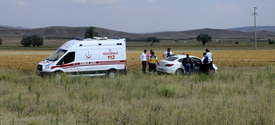Trafiği Tehlikeye Sokmamak İçin Yoldan çıktı