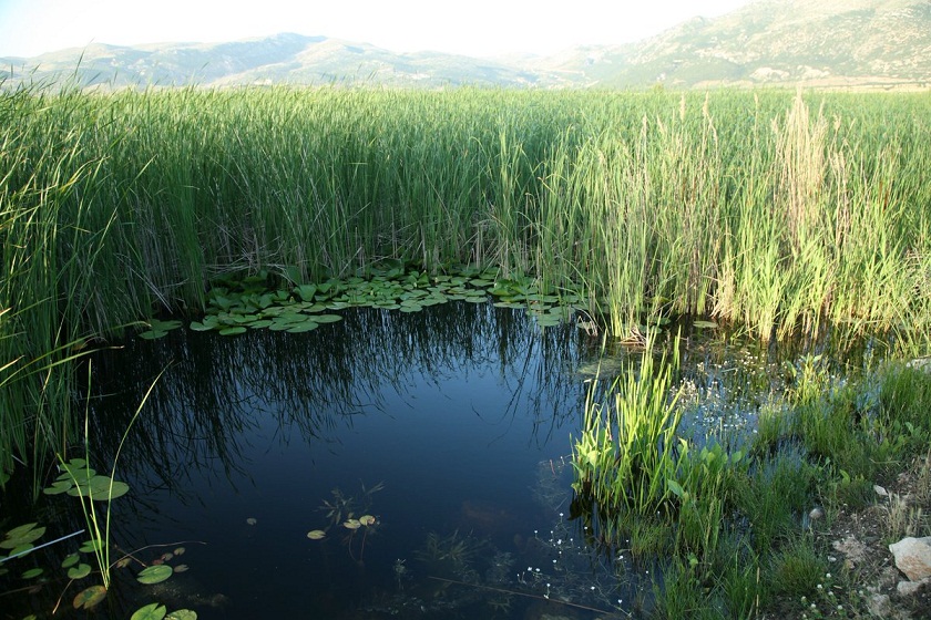Dinar İlçesi Karakuyu Gölü