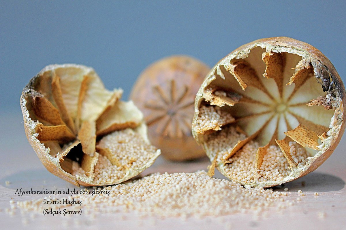 Afyonkarahisar'ın Meşhur Haşhaş'ı