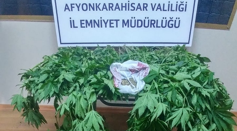 Evinde Yetiştirdi Ama Polis'den Kurtulamadı
