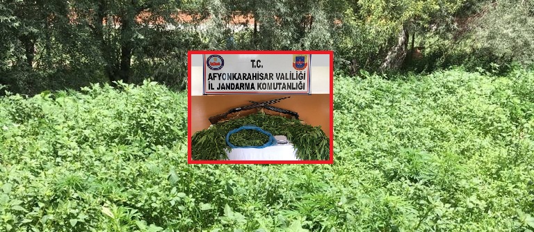 çobanlar İlçesinde Uyuşturucu Operasyonu