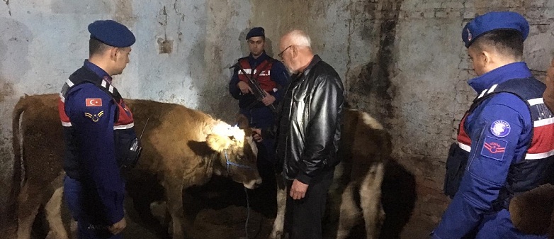 Kaçak Kazı Yapanlar Yakalandı