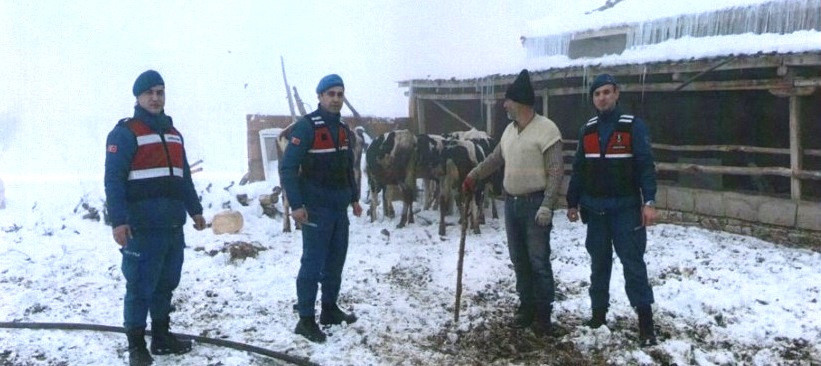 Hayvan Hırsızlarını Jandarma Yakaladı..