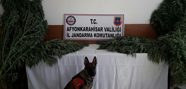 Jandarma Ekipleri Bayram’da Denetimleri Sıklaştırdı