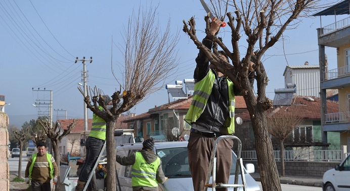 şuhut'un Park Ve Bahçelerinde Yoğun çalışma