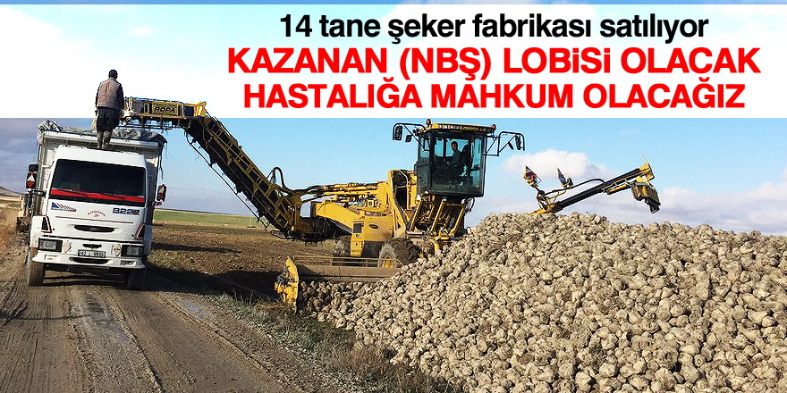 Biz Kaybedeceğiz Onlar Kazanacak