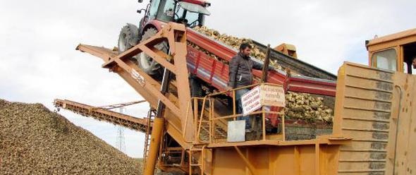 Sandıklılı şeker Pancarı üreticisi Kota Artışı Bekliyor