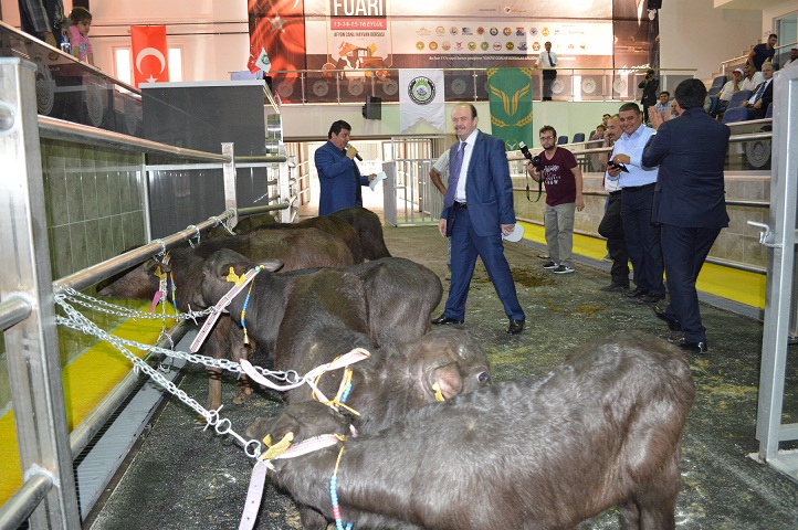 Türkiye’nin İlk Malak Yarışması Afyon’da Yapıldı