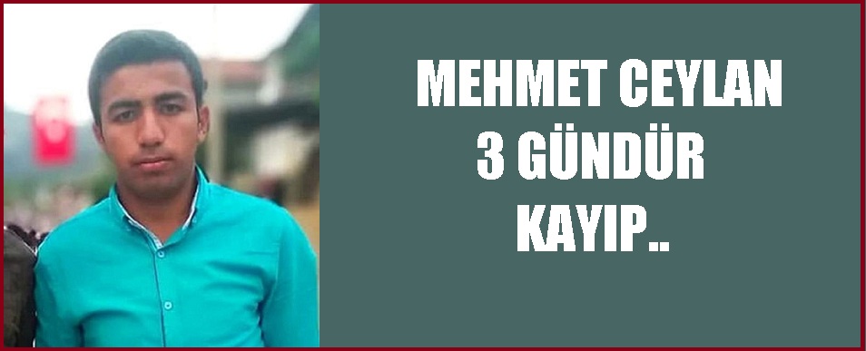 Mehmet Ceylan 3 Gündür Kayıp..