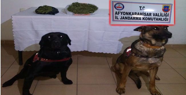 Sandıklı Ve Dinar’da Uyuşturucu Operasyonu Yapıldı