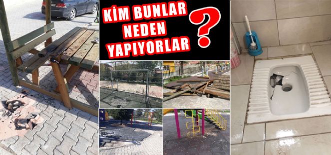 Kim Bunlar, Neden Yapıyorlar?...