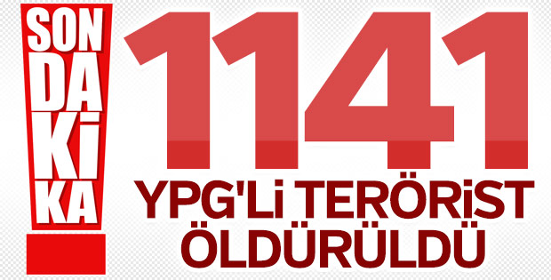 1141 Ypg'li Terörist öldürüldü