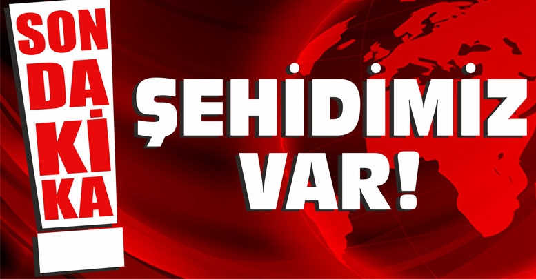 Zeytin Dalı Operasyonunda Eniştemiz şehit Oldu