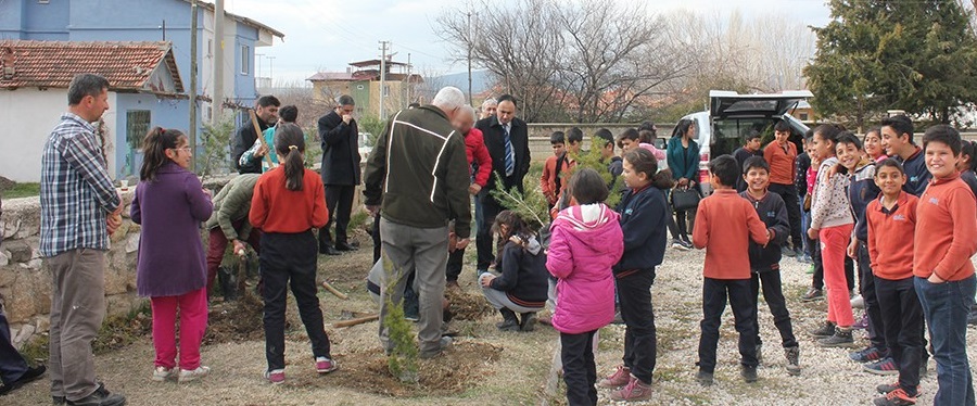 Fidan Dikim Etkinlikleri Devam Ediyor