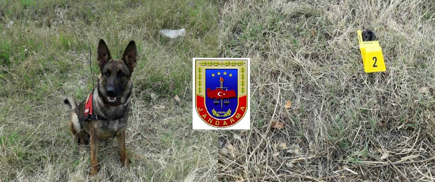 Jandarma Ekipleri Yine İş Başında