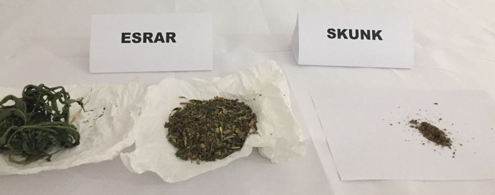 Jandarma Kontrolunde 24 Kişi Tutuklandı