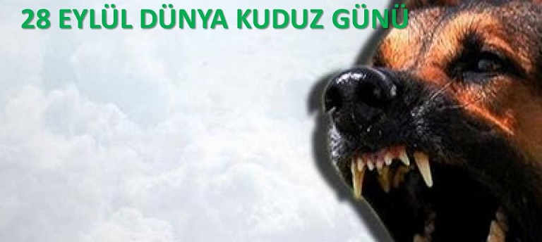 28 Eylül Dünya Kuduz Günü