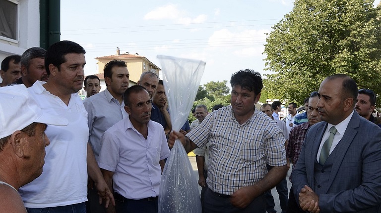 Göl Ve Göletlerimiz Balıklandırıldı