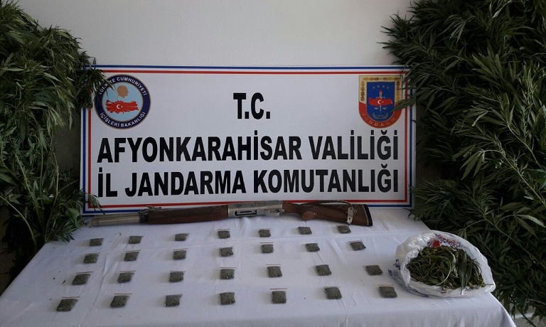 Jandarma’dan Köprülü Köyde Uyuşturucu Operasyonu