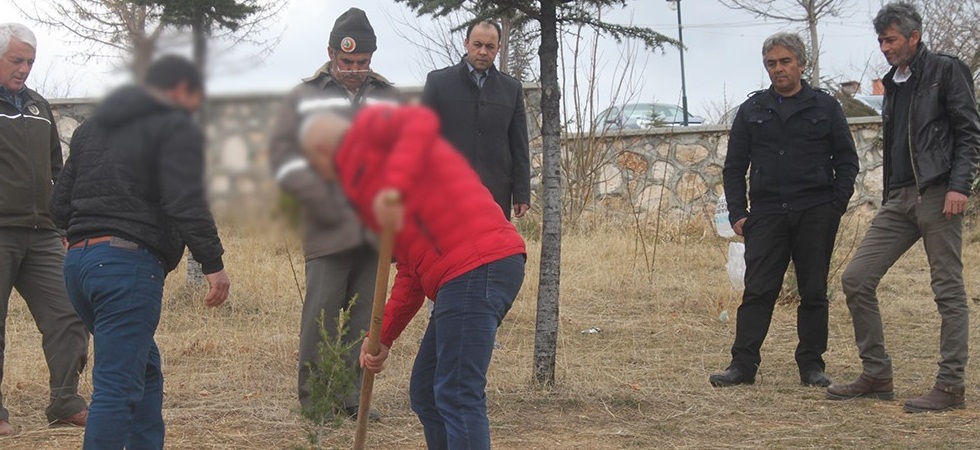 Denetimli Serbestli'de Fidan Dikimi Devam Ediyor