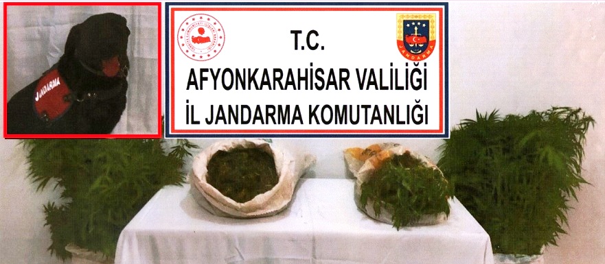 Emirdağ'da Hırsızlar Yakalandı