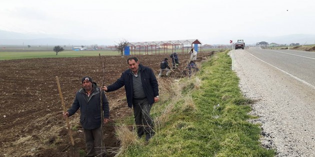 Haydarlı Belediye Başkanı Kadir öcel Yol Güzergahlarını Ağaçlandırıyor