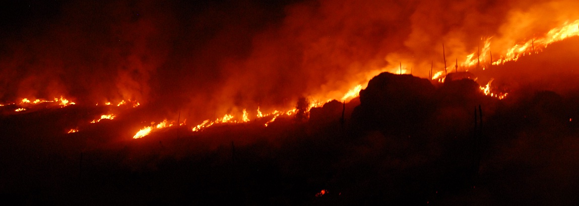 Dinar'da çıkan Yangın Ormanlık Alana Sıçramadan Söndürüldü